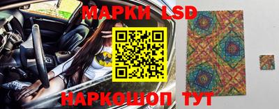 spice Кунгур
