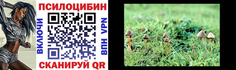 Псилоцибиновые грибы MAGIC MUSHROOMS  Красноуфимск 