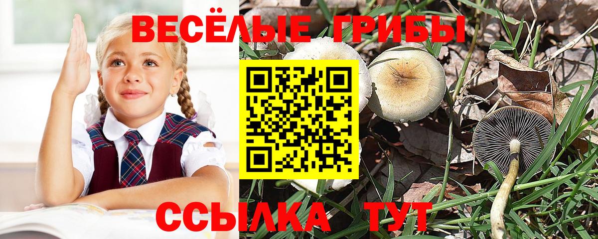 Псилоцибиновые грибы MAGIC MUSHROOMS Красноуфимск