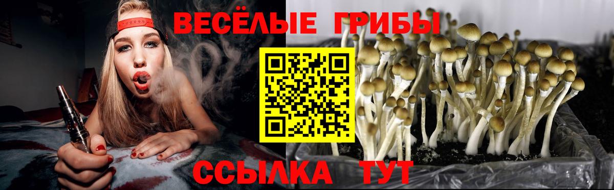 Галлюциногенные грибы прущие грибы  Вход с VPN  Красноуфимск 